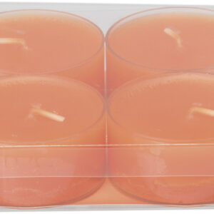 4 Stück Wenzel Maxilichte in transparenter Hülle Farbe mandarin