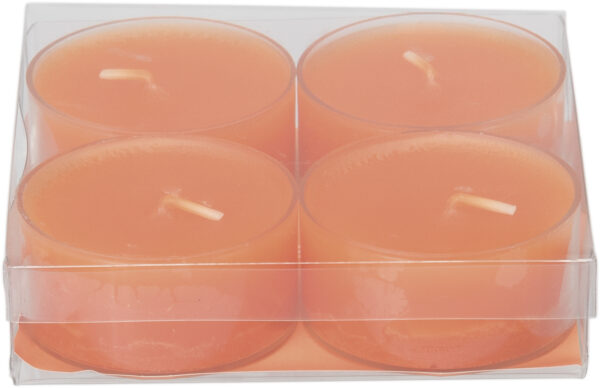 4 Stück Wenzel Maxilichte in transparenter Hülle Farbe mandarin