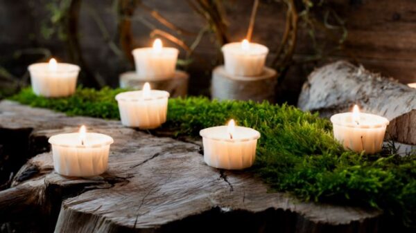 12 x Light.One das nachhaltige Papier-Teelicht – Bild 2