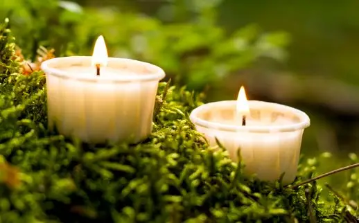 Unbenannt 50 x Light.One das nachhaltige Papier-Teelicht im Karton