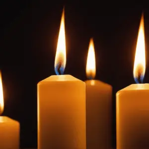 12 x Spitzkerze Größe 250 x 23 mm