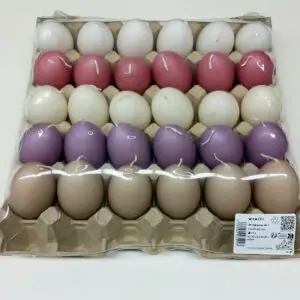 s l1600 1 300x300 - 30-er Steige Eierkerzen Größe jeweils ca. 65 x 45 mm